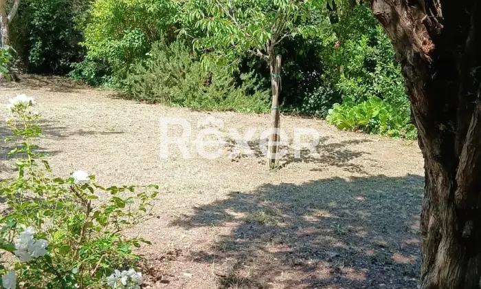 Rexer-Pienza-Pienza-a-pochi-passi-dal-centro-storico-villa-storica-con-dependance-e-ampio-Giardino-privato-Altro