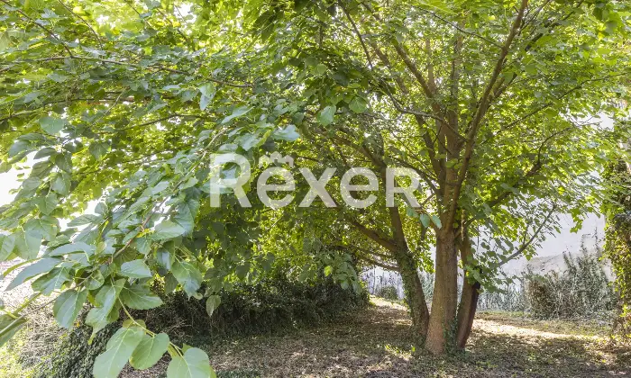 Rexer-Rivoli-CASA-COLONIALE-NEL-CENTRO-STORICO-Altro
