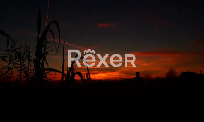 Rexer-Sarezzano-Ampia-casa-indipendente-con-magazzino-capannone-e-grande-cortile-privato-Sarezzano-AL-Altro
