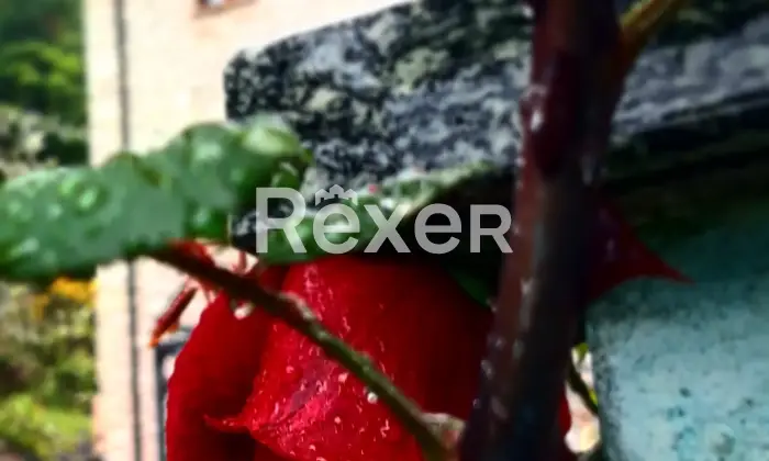 Rexer-Sarezzano-Ampia-casa-indipendente-con-magazzino-capannone-e-grande-cortile-privato-Sarezzano-AL-Altro