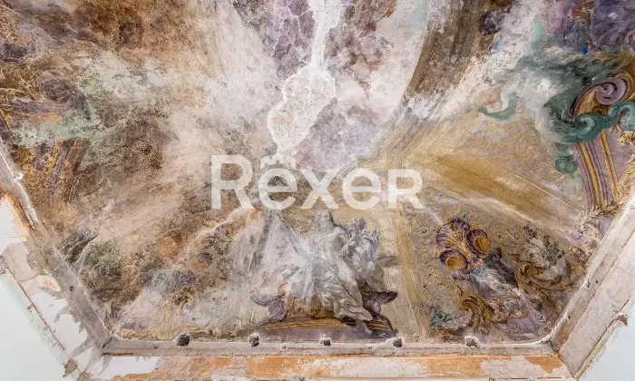 Rexer-Napoli-Appartamento-in-vendita-nello-storico-Palazzo-dei-principi-Davellino-Altro