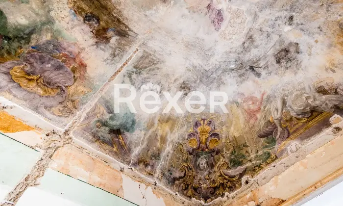 Rexer-Napoli-Appartamento-in-vendita-nello-storico-Palazzo-dei-principi-Davellino-Altro