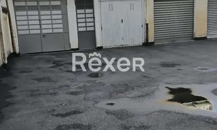 Rexer-Torino-Box-auto-Altro