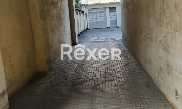 Rexer-Torino-Box-auto-Altro