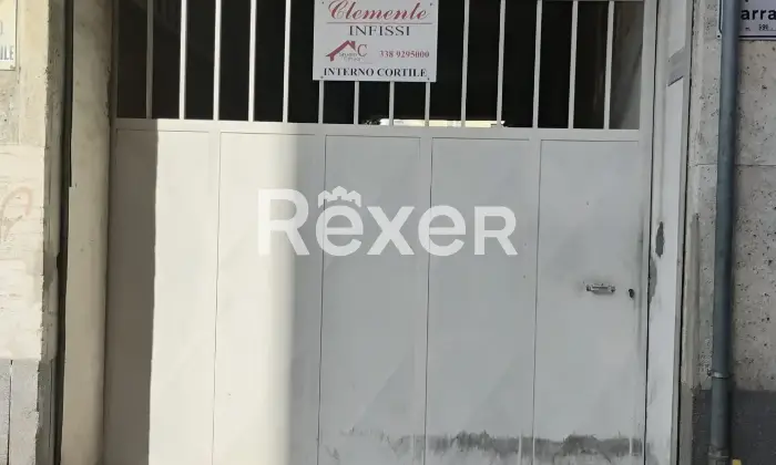 Rexer-Torino-Box-auto-Altro