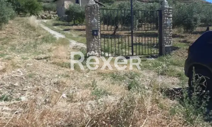 Rexer-Caltabellotta-Villa-rustica-con-uliveto-e-terreno-a-Caltabellotta-AG-Altro