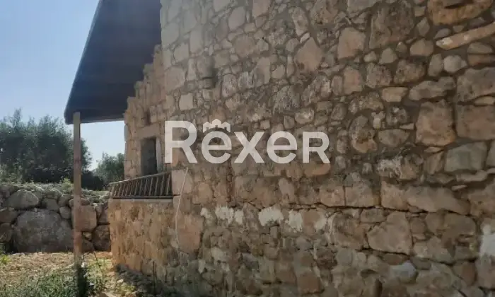 Rexer-Caltabellotta-Villa-rustica-con-uliveto-e-terreno-a-Caltabellotta-AG-Altro