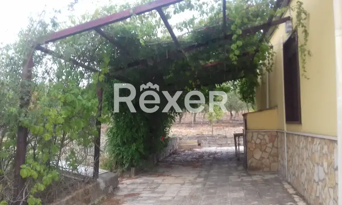 Rexer-Naro-Vendesi-propriet-rustica-con-uliveto-e-terreno-Strada-Statale-Naro-AG-Altro