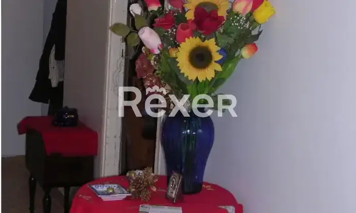 Rexer-Aragona-Quadrilocale-con-box-auto-ad-Aragona-a-minuti-da-Agrigento-Altro