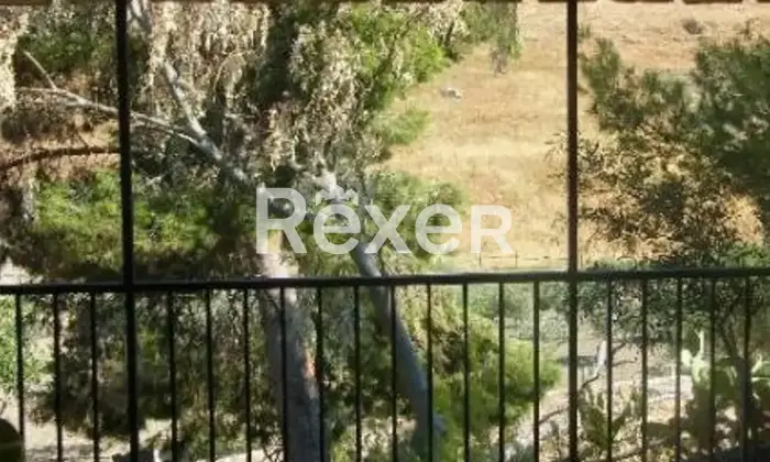 Rexer-Cattolica-Eraclea-Villino-arredato-con-oliveto-privato-e-veranda-panoramica-Cattolica-Eraclea-Altro