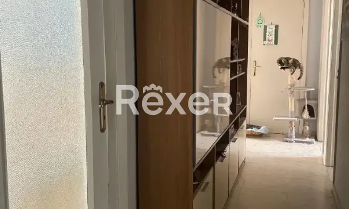 Rexer-Catania-Ampio-e-luminoso-quadrilocale-di-mq-con-ascensore-e-servizio-di-portierato-Catania-Altro