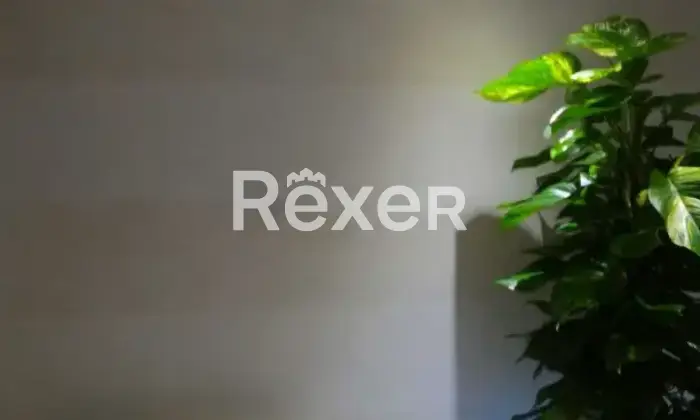 Rexer-Caltanissetta-Appartamento-ristrutturato-e-arredato-con-tre-balconi-Caltanissetta-Altro