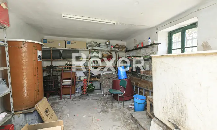 Rexer-Genova-PARTICOLARE-APPARTAMENTO-CON-INGRESSO-INDIPENDENTE-E-GIARDINO-Altro