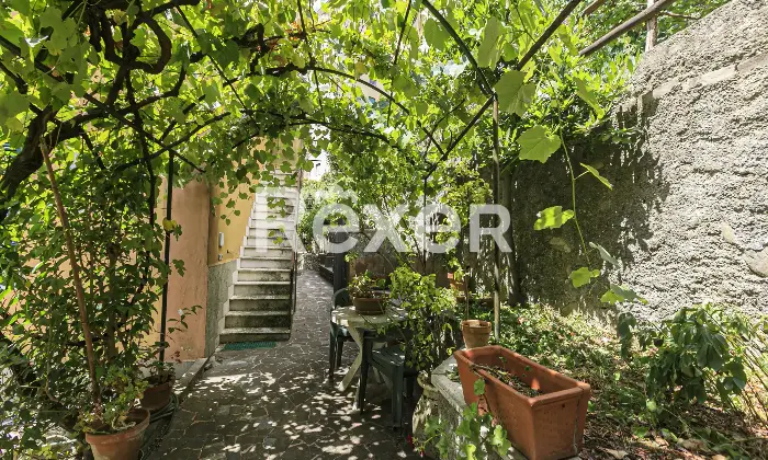 Rexer-Genova-PARTICOLARE-APPARTAMENTO-CON-INGRESSO-INDIPENDENTE-E-GIARDINO-Altro