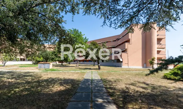 Rexer-Livorno-Appartamento-con-cantina-Altro