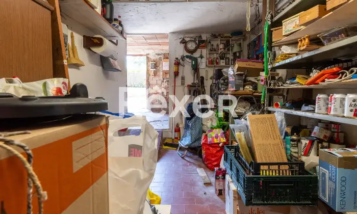 Rexer-Livorno-Appartamento-con-cantina-Cantina