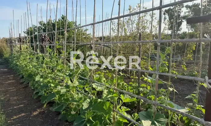 Rexer-Milazzo-Vendesi-villa-in-costruzione-con-ampio-terreno-Via-della-Concordia-Milazzo-ME-Altro