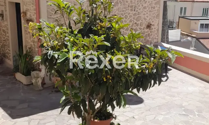Rexer-Belvedere-Marittimo-Casa-panoramica-ristrutturata-nel-centro-storico-di-Belvedere-Marittimo-ai-piedi-del-castello-Altro