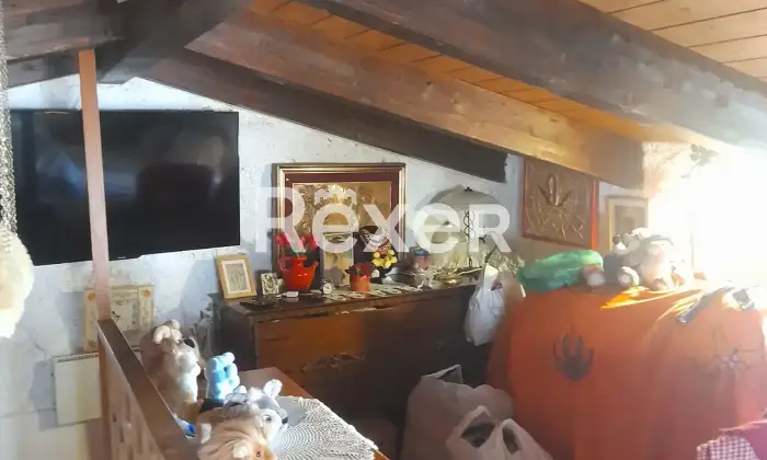 Rexer-Belvedere-Marittimo-Casa-panoramica-ristrutturata-nel-centro-storico-di-Belvedere-Marittimo-ai-piedi-del-castello-Altro