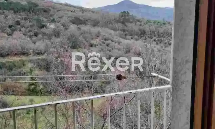 Rexer-Lucito-Vendesi-casa-indipendente-con-cantina-camino-e-legnaia-Via-Due-Porte-Lucito-CB-Altro