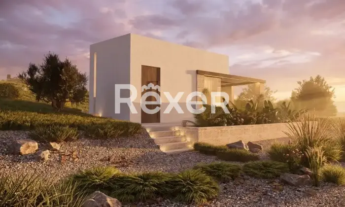 Rexer-Alcamo-Progetto-approvato-per-casa-indipendente-con-uliveto-e-terreno-Altro