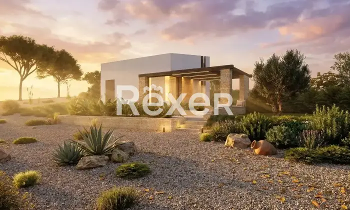 Rexer-Alcamo-Progetto-approvato-per-casa-indipendente-con-uliveto-e-terreno-Altro