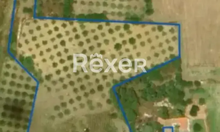 Rexer-Valderice-Casa-indipendente-con-terreno-e-possibilit-edificatoria-in-vendita-a-Valderice-Altro