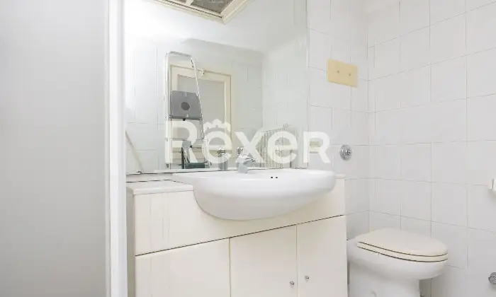 Rexer-Sovico-Soluzione-indipendente-Altro