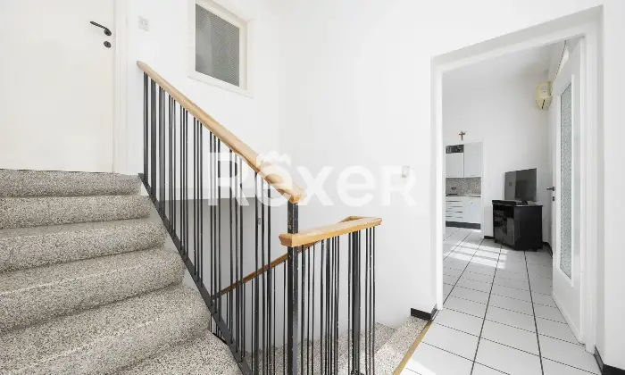 Rexer-Sovico-Soluzione-indipendente-Altro