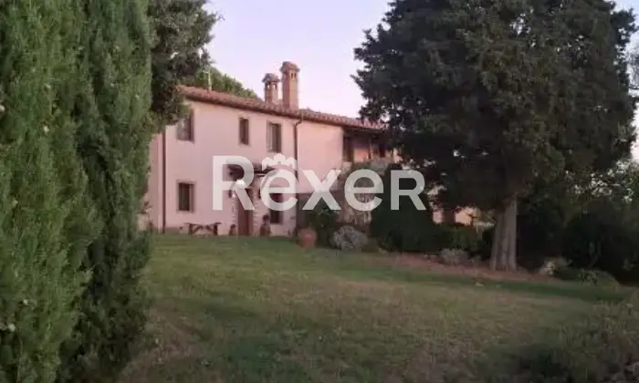 Rexer-Santa-Luce-Villa-indipendente-con-tre-appartamenti-uliveto-e-progetto-piscina-in-vendita-a-Santa-Luce-Altro
