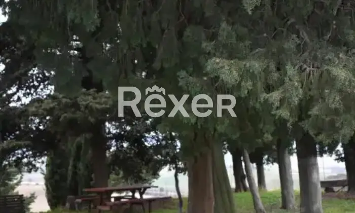 Rexer-Santa-Luce-Appartamento-indipendente-su-due-livelli-in-vendita-in-Via-del-Commercio-a-Santa-Luce-Altro