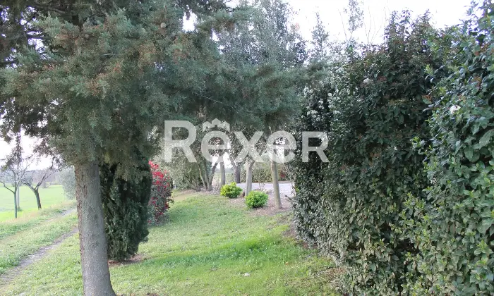 Rexer-Magliano-in-Toscana-Bifamiliare-del-con-ingressi-separati-Giardino
