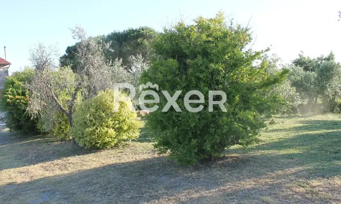 Rexer-Magliano-in-Toscana-Bifamiliare-del-con-ingressi-separati-Giardino