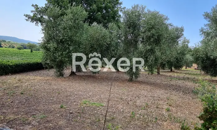 Rexer-Magliano-in-Toscana-Bifamiliare-del-con-ingressi-separati-Giardino