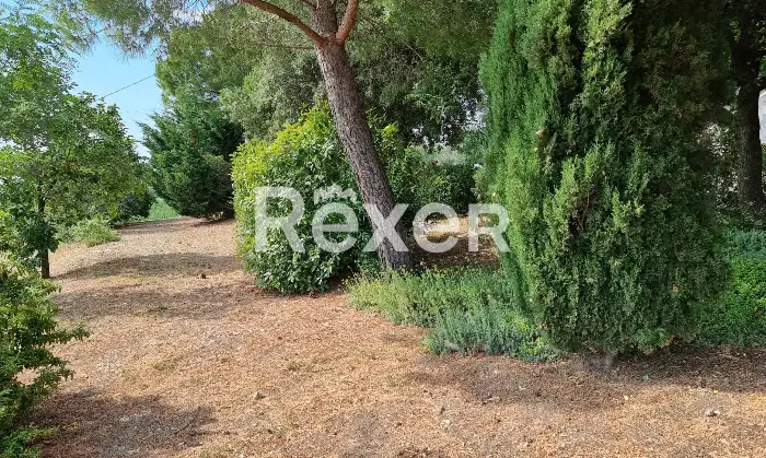 Rexer-Magliano-in-Toscana-Bifamiliare-del-con-ingressi-separati-Giardino