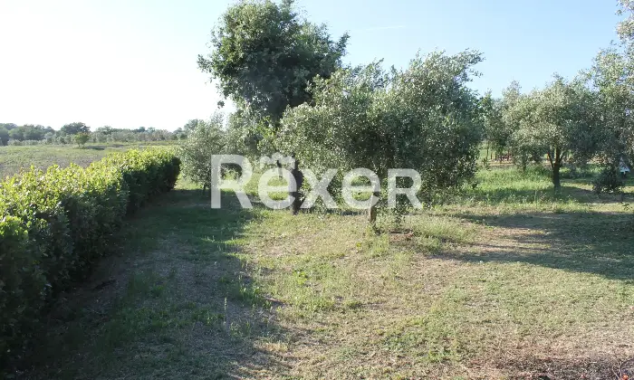 Rexer-Magliano-in-Toscana-Bifamiliare-del-con-ingressi-separati-Giardino