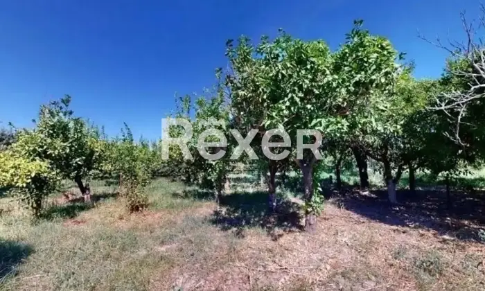 Rexer-Capo-dOrlando-Vendesi-casa-indipendente-con-terreno-a-pochi-passi-dal-mare-Contrada-Vina-Altro