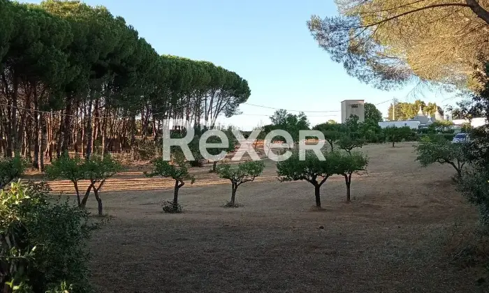 Rexer-Martina-Franca-Caratteristico-trullo-abitabile-in-vendita-a-Martina-Franca-Valle-dItria-Altro