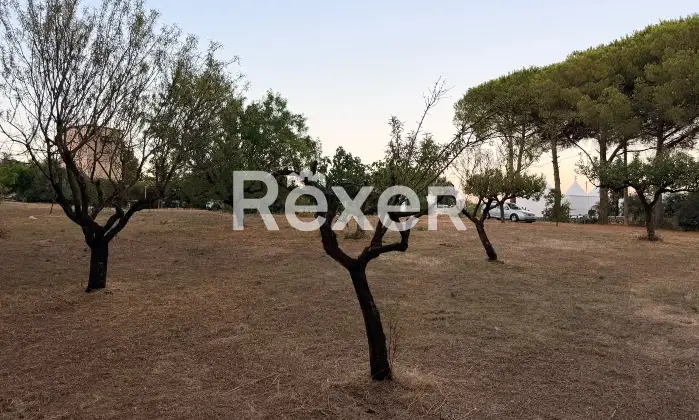 Rexer-Martina-Franca-Caratteristico-trullo-abitabile-in-vendita-a-Martina-Franca-Valle-dItria-Altro