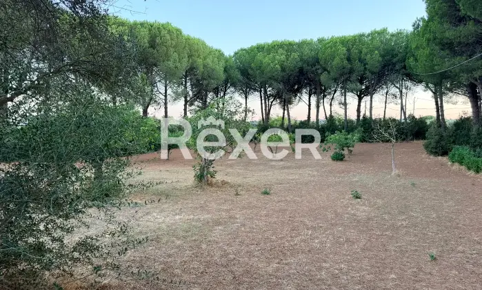 Rexer-Martina-Franca-Caratteristico-trullo-abitabile-in-vendita-a-Martina-Franca-Valle-dItria-Altro