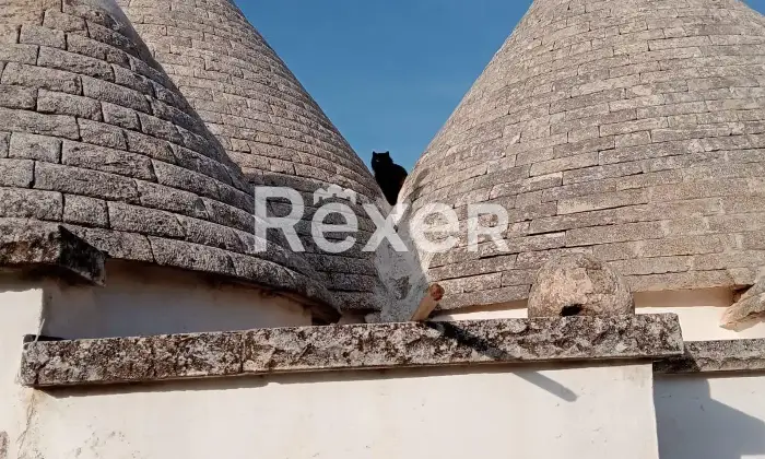 Rexer-Martina-Franca-Caratteristico-trullo-abitabile-in-vendita-a-Martina-Franca-Valle-dItria-Altro
