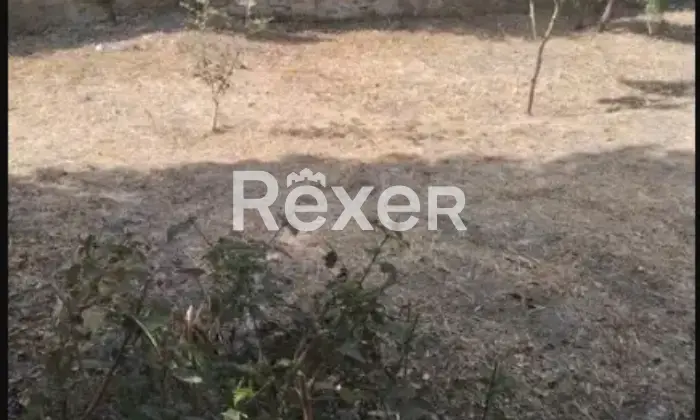 Rexer-Oliveri-Appartamento-indipendente-in-vendita-in-Via-Stazione-ad-Oliveri-Altro