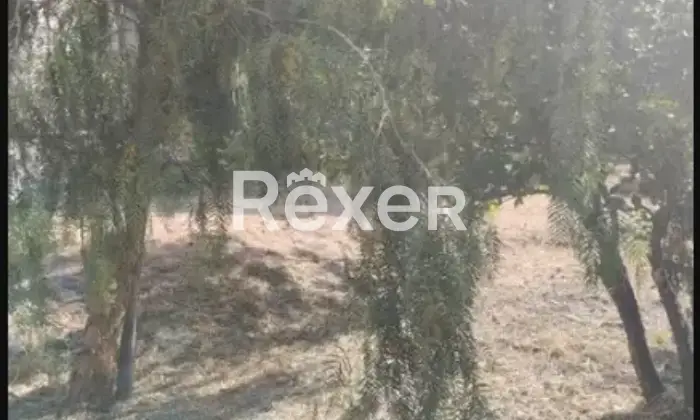 Rexer-Oliveri-Appartamento-indipendente-in-vendita-in-Via-Stazione-ad-Oliveri-Altro