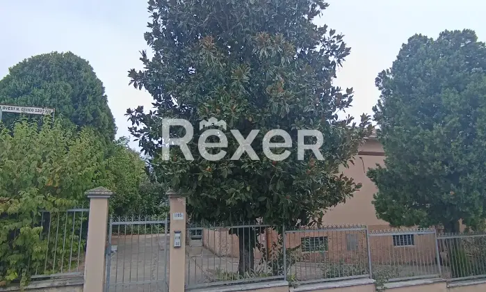 Rexer-Modena-MODENA-VIA-EMILIA-OVEST-Altro