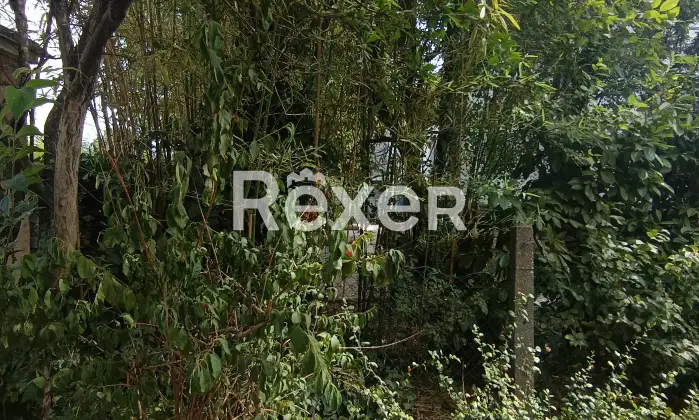 Rexer-Modena-MODENA-VIA-EMILIA-OVEST-Altro