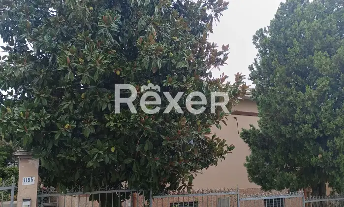 Rexer-Modena-MODENA-VIA-EMILIA-OVEST-Altro