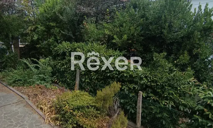 Rexer-Modena-MODENA-VIA-EMILIA-OVEST-Altro