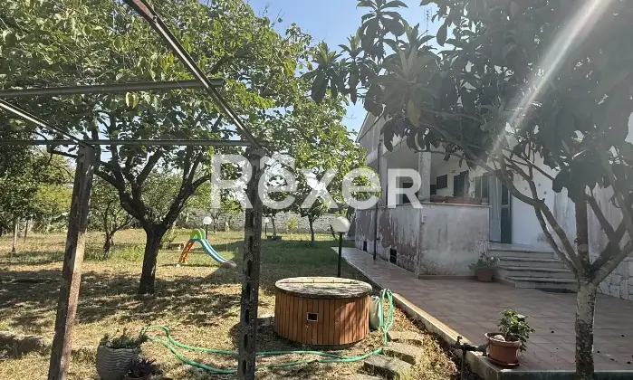 Rexer-Anzio-ANZIO-VIA-LEONARDO-DA-VINCI-Giardino