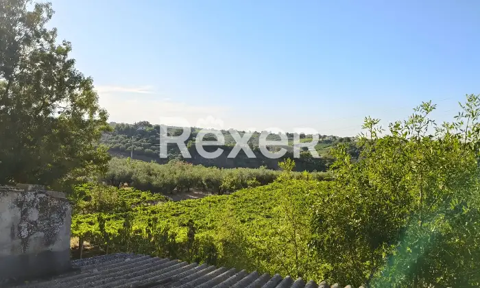 Rexer-Pollutri-Compendio-immobiliare-in-vendita-in-Via-Colledonne-a-Pollutri-Altro
