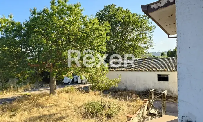 Rexer-Pollutri-Compendio-immobiliare-in-vendita-in-Via-Colledonne-a-Pollutri-Altro